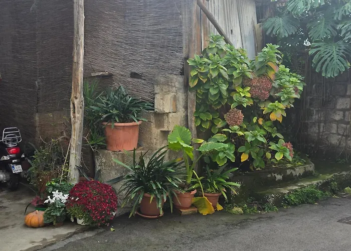 La Casa Di Teo Sorrento Coast Sant'Agnello